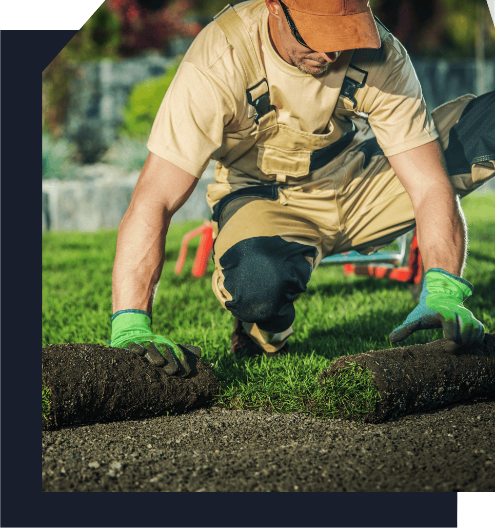 professional landscaping contractor doing natural grass installation